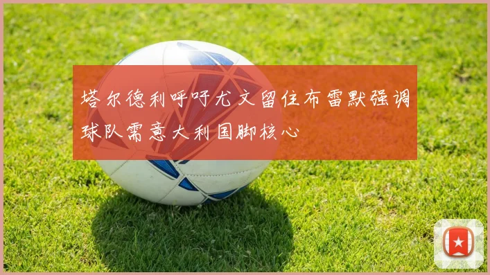 塔尔德利呼吁尤文留住布雷默强调球队需意大利国脚核心