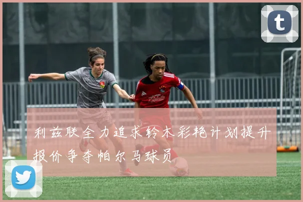 利兹联全力追求铃木彩艳计划提升报价争夺帕尔马球员